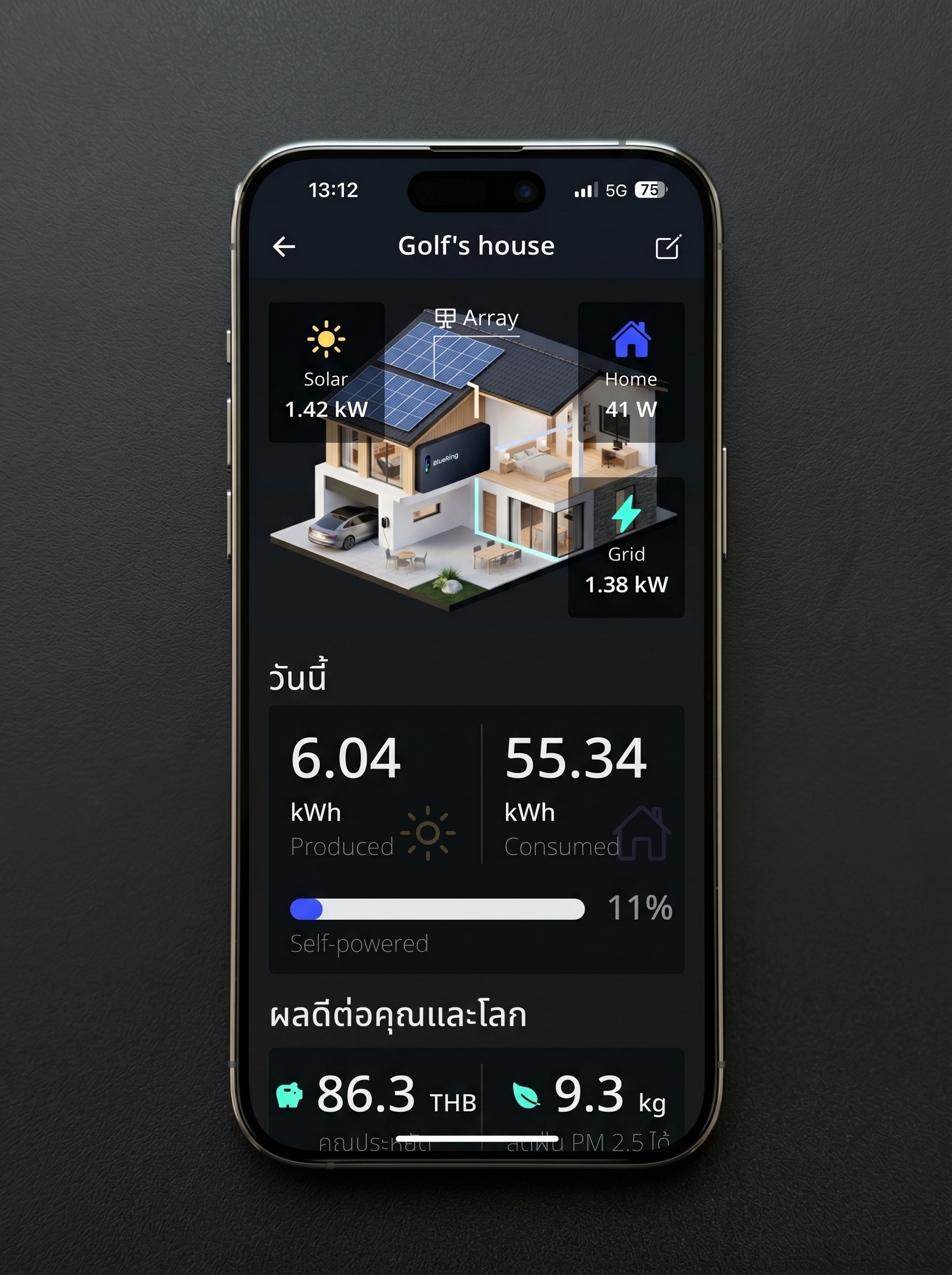 BlueRing Mobile Application phone screen